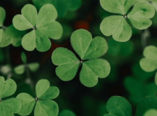 Luck & manifestation magic spell